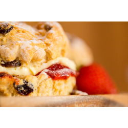 Scones with jam & cream - Adult buffet food