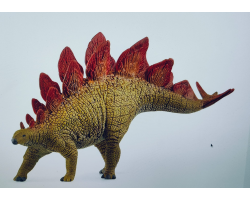 Stegosaurus