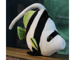 White, yellow, and black angel fish soft toy