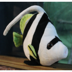 White, yellow, and black angel fish soft toy