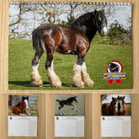 2026 Official Cotebrook Calendar