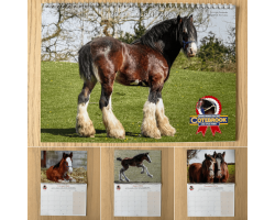 2026 Official Cotebrook Calendar