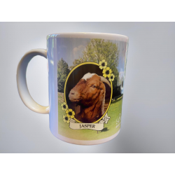 Adopt a Goat Mug- Jasper