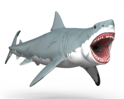 Megalodon