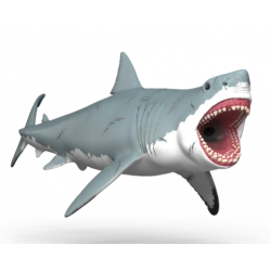 Megalodon
