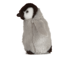 Penguin chick