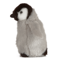 Penguin chick