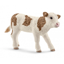 Simmental calf
