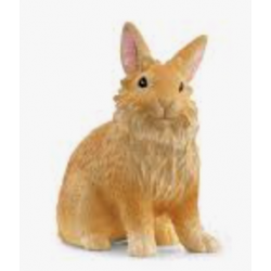 Lionhead Rabbit