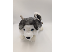 Aurora Miyoni Husky lying 11in