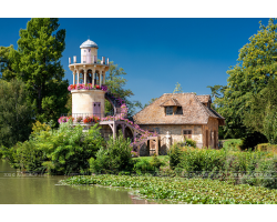 When you make your purchase, you will be emailed the viewing link and password within an hour.