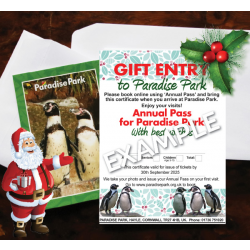 Gift Annual Pass - Adult (Christmas Present)