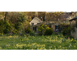 When you make your purchase, you will be emailed the viewing link and password within an hour.