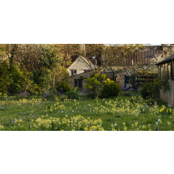 When you make your purchase, you will be emailed the viewing link and password within an hour.