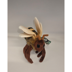 European honeybee