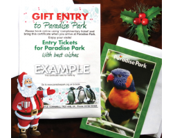 CHILD (aged 3 to 15yrs) Gift Day Entry