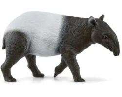 Tapir