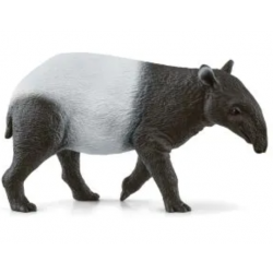 Tapir