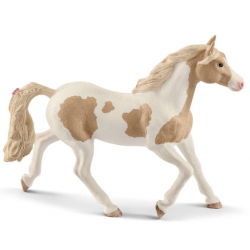 Paint Horse Mare