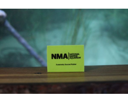 NMA Eraser - Green