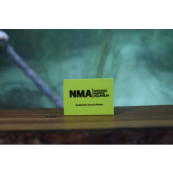 NMA Eraser - Green