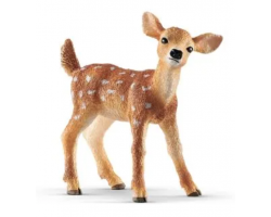 White-tailed Fawn