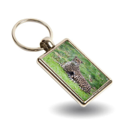 Key Ring - Willow