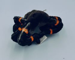 Petjes Tarantula Brown / Orange 17cm