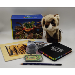 Racoon Adoption Package