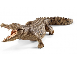 Crocodile