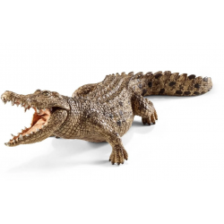 Crocodile