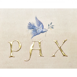 PAX by Laura Taylor