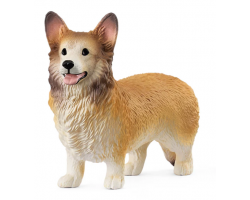 Welsh Corgi