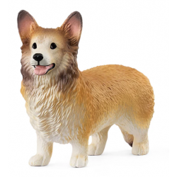 Welsh Corgi