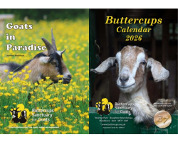 Calendar & Photo Book Bundle