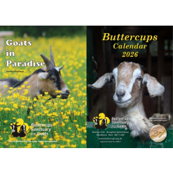 Calendar & Photo Book Bundle