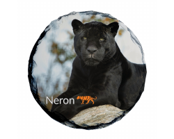 Slate Coaster- Neron
