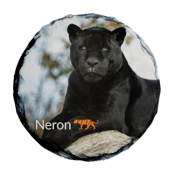 Slate Coaster- Neron