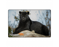 Magnet - Neron