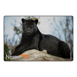 Magnet - Neron