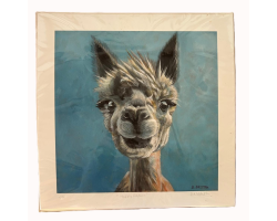 Matted Print of Alpaca Poppy
