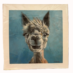 Matted Print of Alpaca Poppy