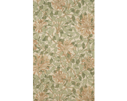 Coffee with a Curator: The Two Honeysuckles