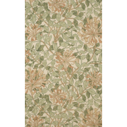 Coffee with a Curator: The Two Honeysuckles