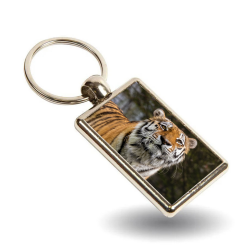 Key Ring - Amasia