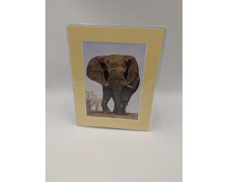 A brush with Africa Elephant (1C)