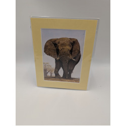 A brush with Africa Elephant (1C)