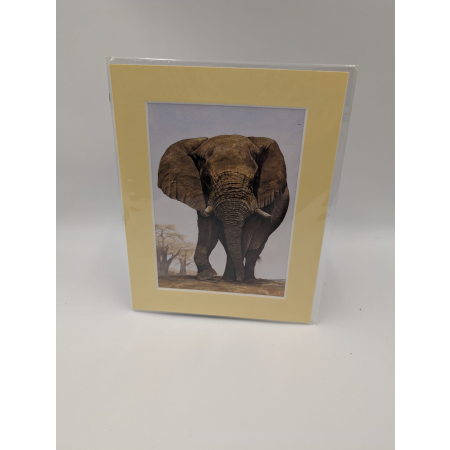 A brush with Africa Elephant (1C)