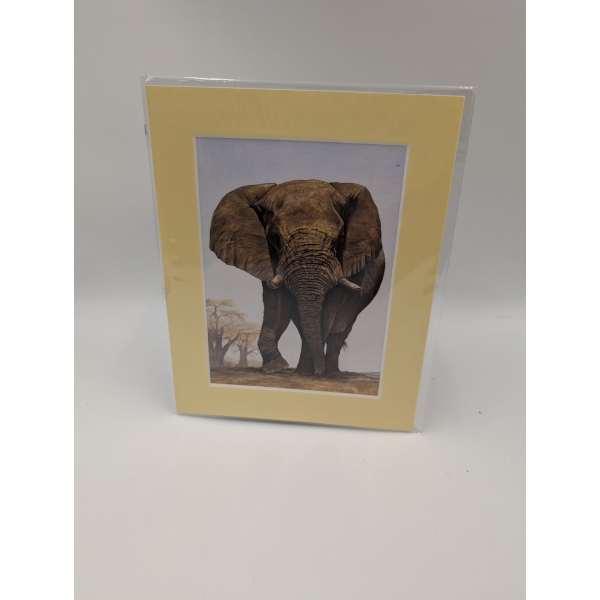 A brush with Africa Elephant (1C)