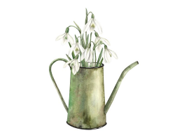 Snowdrop Watering Can Notelets